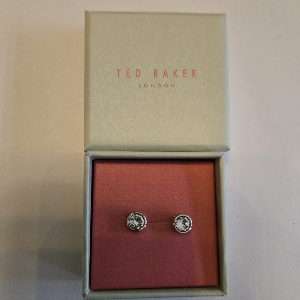 Ted Baker Silver Sinaa Earrings